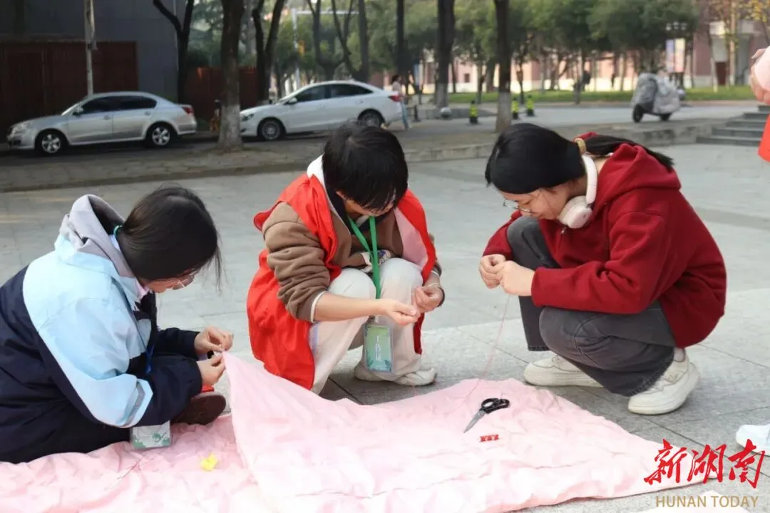 湖南多所高校学生自发招募寒假投喂志愿者，为流浪动物提供一个稳定热乎的家 | 极目新闻