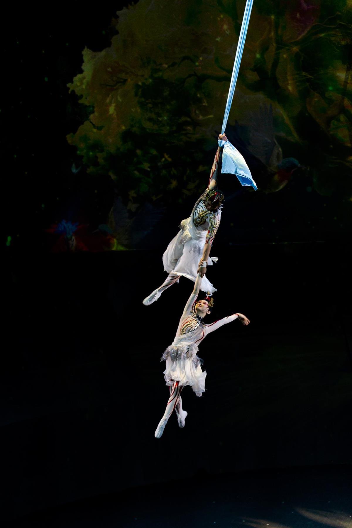 IMG_1295.jpg IMG_1295.jpg