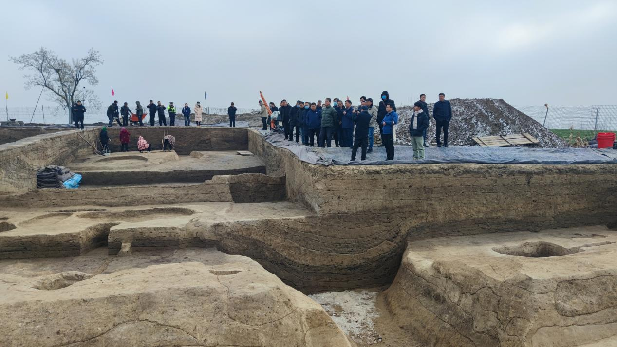 河南周口发现夏文化遗址140多处或为夏代遗址群落