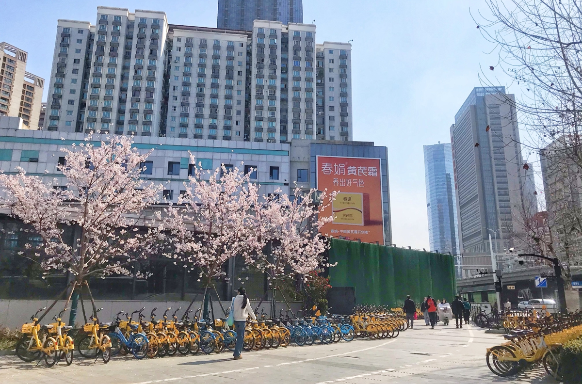 微信图片_20260312213315_2893_163.jpg 微信图片_20260312213315_2893_163.jpg