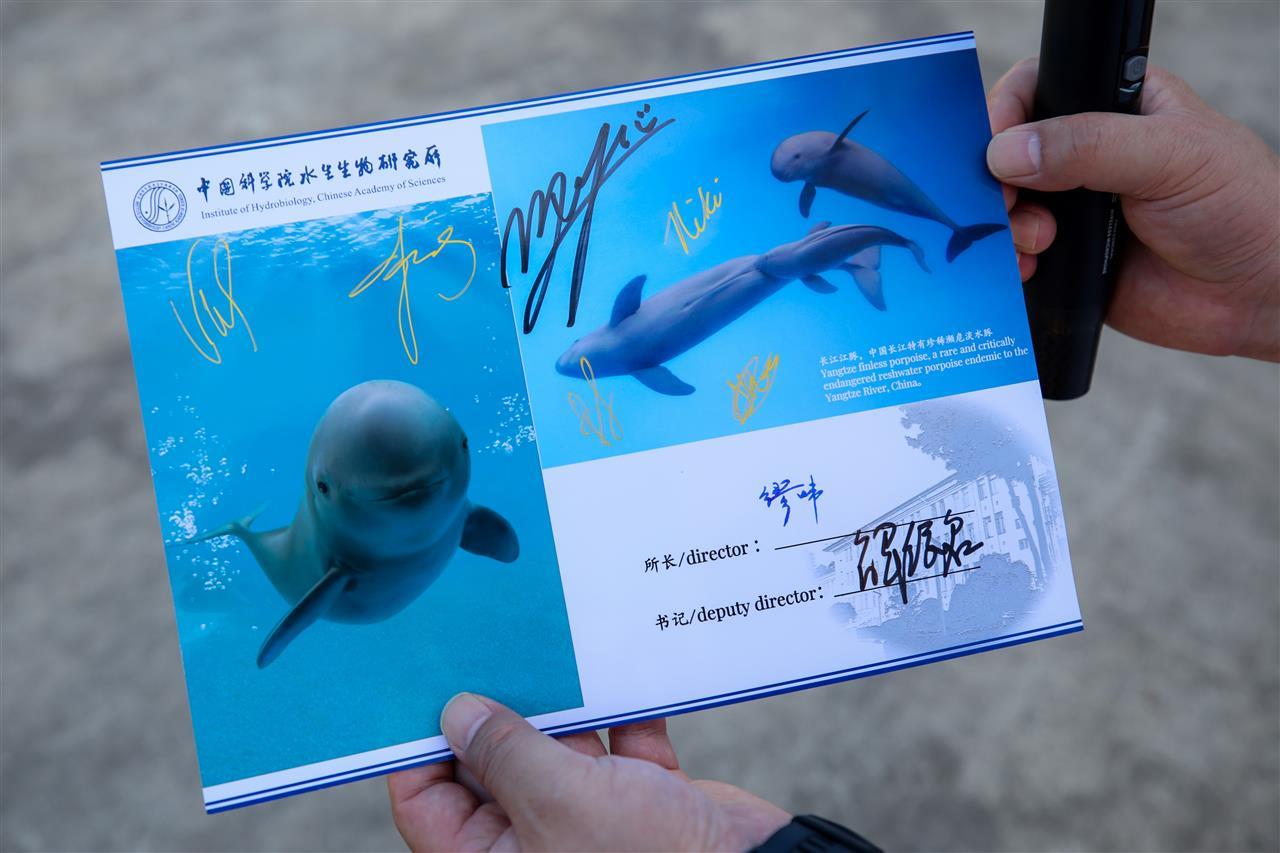 4470456c20e0d17dbdfabd0d31199284.jpg 4470456c20e0d17dbdfabd0d31199284.jpg