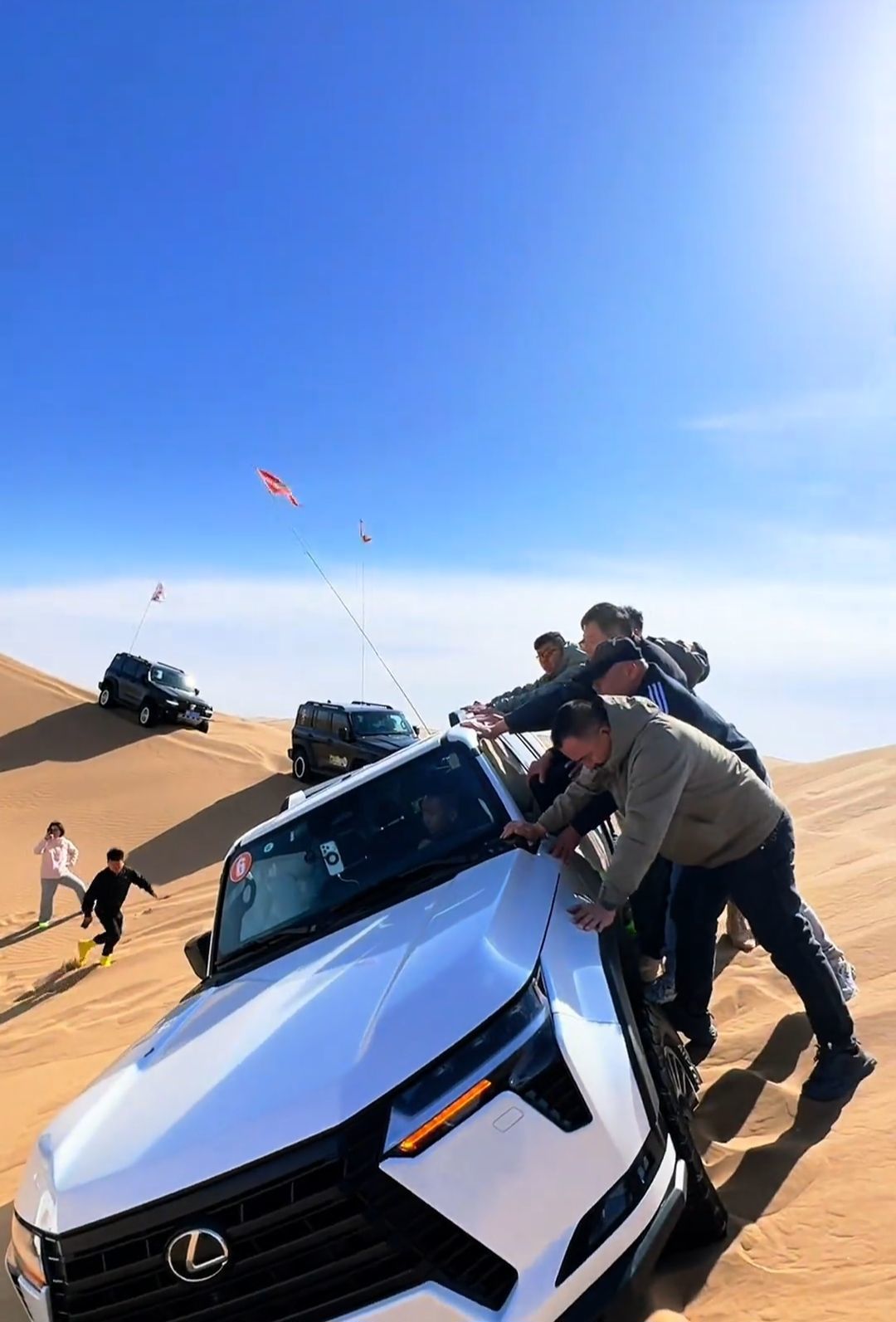 qq_pic_merged_1773744149595.jpg qq_pic_merged_1773744149595.jpg