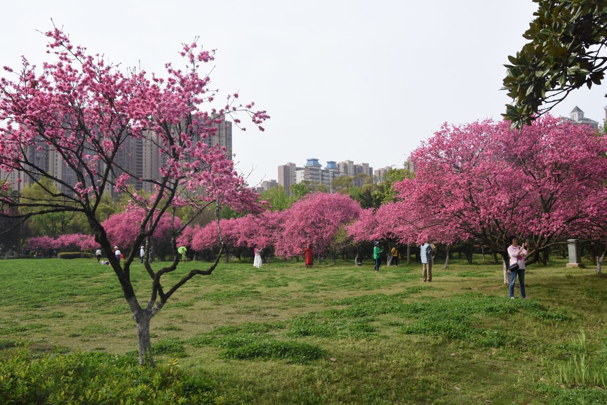 82cbdbd215d2e280656f477597db0b5c.jpg 82cbdbd215d2e280656f477597db0b5c.jpg