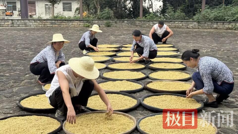 156A29619846EE19DE61E0323812F246.jpg 156A29619846EE19DE61E0323812F246.jpg