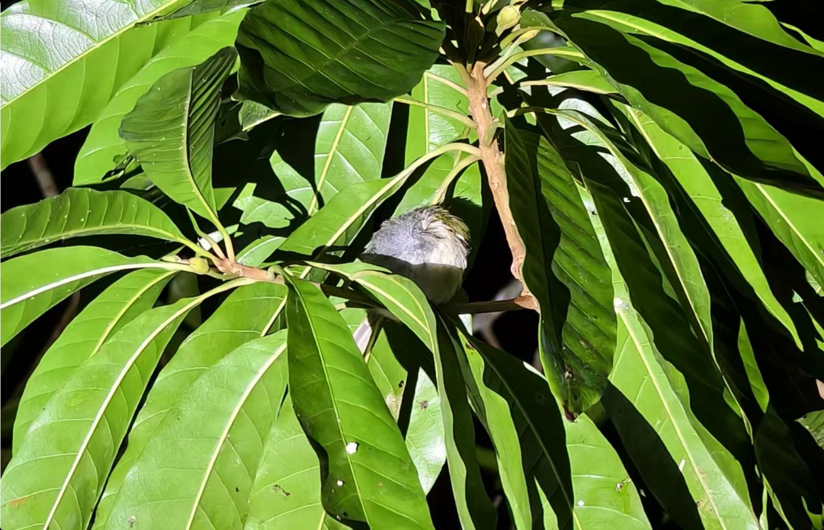 QQ_1780844038108.png