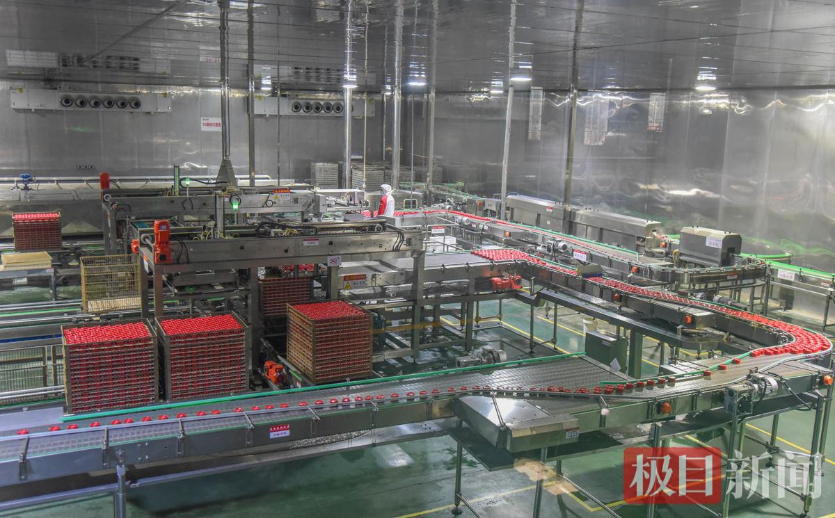 5月28日，湖北农发品源科技有限公司自动化生产线在生产运行。（极目新闻记者 黄志刚 摄）.jpg