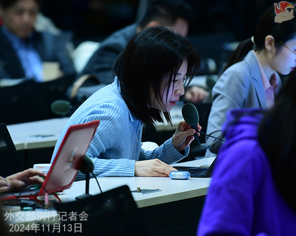 2024年11月13日外交部发言人林剑主持例行记者会 | 极目新闻