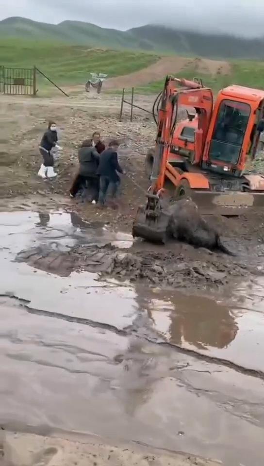 WechatIMG1021.jpeg WechatIMG1021.jpeg