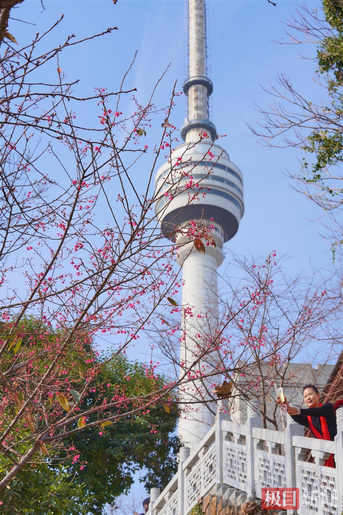 SZT03256.jpg