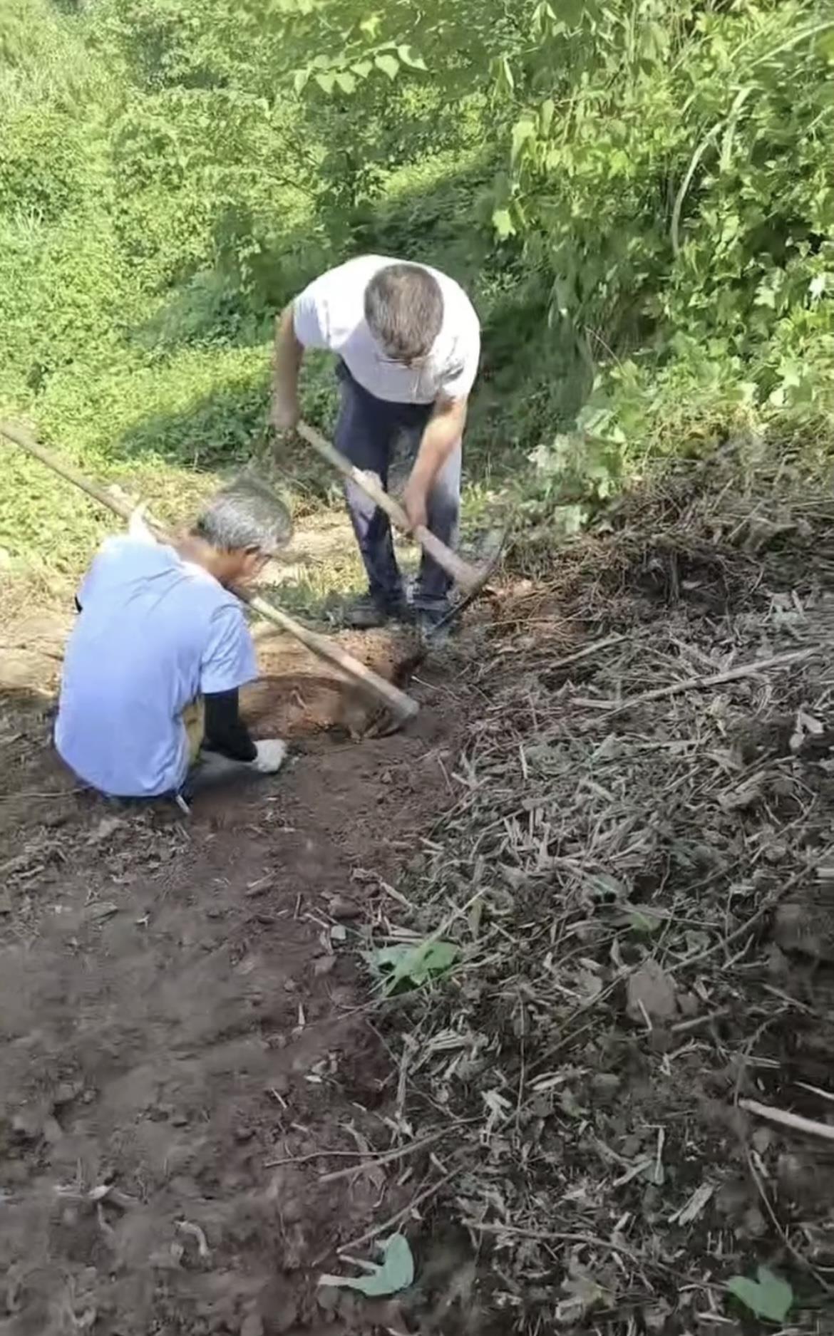 IMG_2899.jpg IMG_2899.jpg