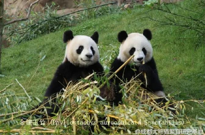 QQ20250924-100328.png QQ20250924-100328.png