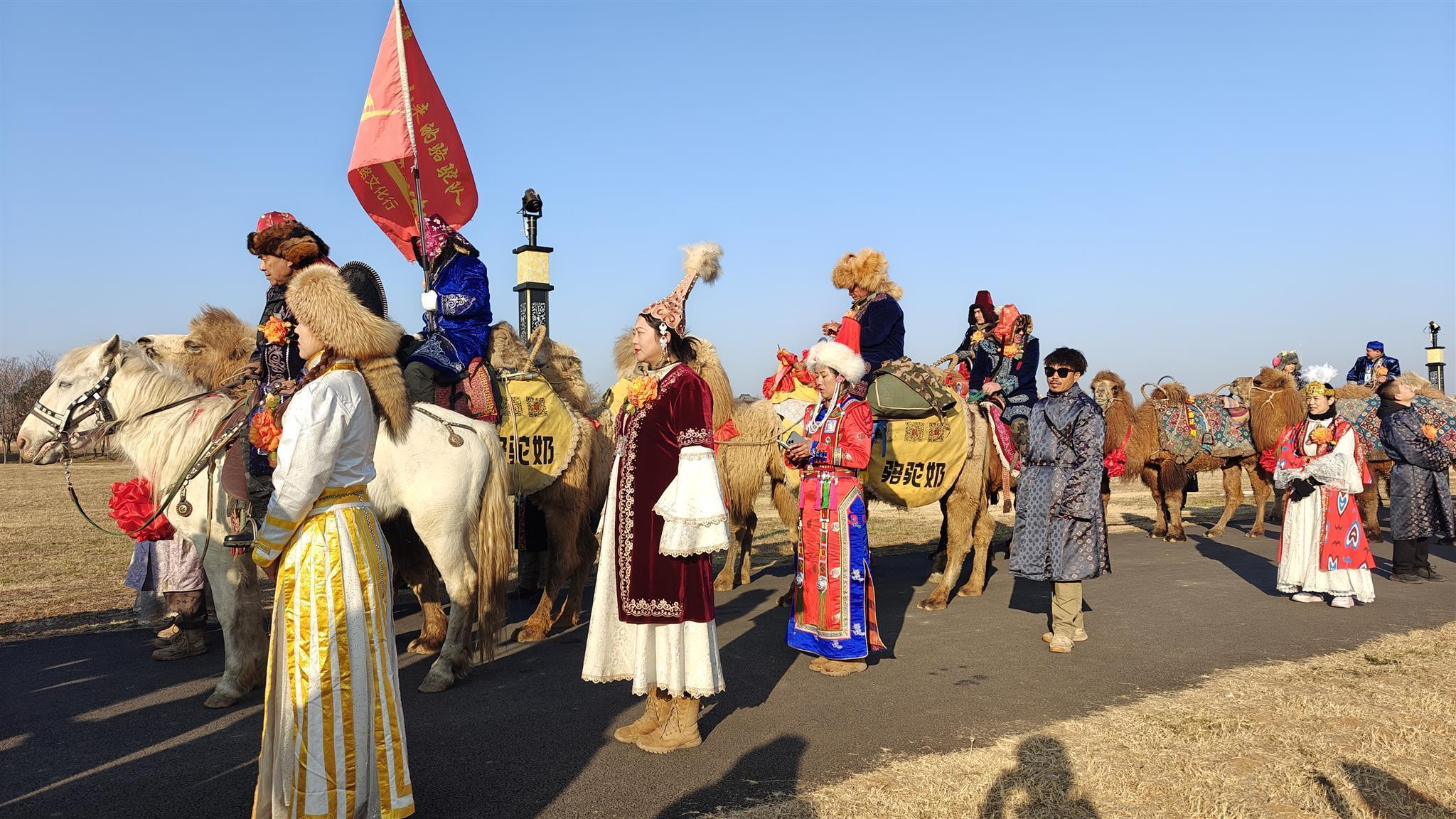 新疆骆驼队洛阳献驼奶获赠美酒，领队透露骆驼将留驻沿途城市——跨界友谊见证标题