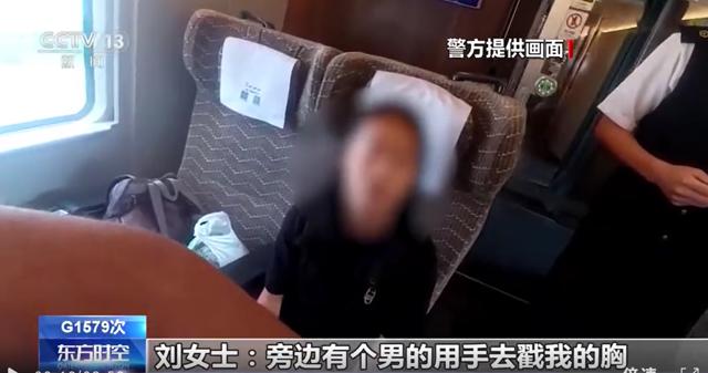 极目锐评丨男子在高铁猥亵女子辩称“拿充电器”，借口再狡猾也难逃法律制裁