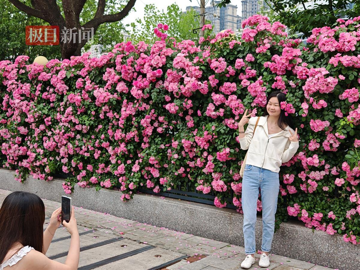 微信图片_20250422185434.jpg