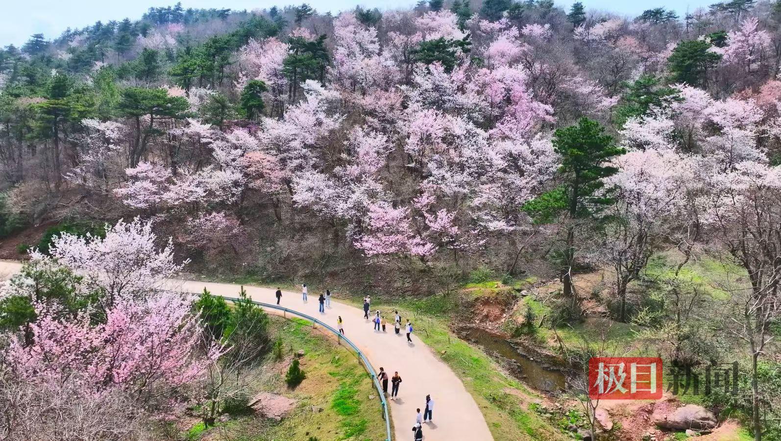 7e74cd37084390d79e2c824b409e0a63.jpg 7e74cd37084390d79e2c824b409e0a63.jpg