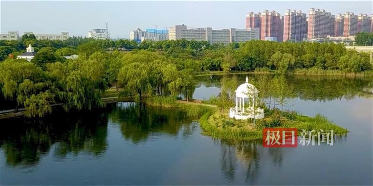 武汉西边的明珠:张毕湖公园涅盘而生 | 极目新闻