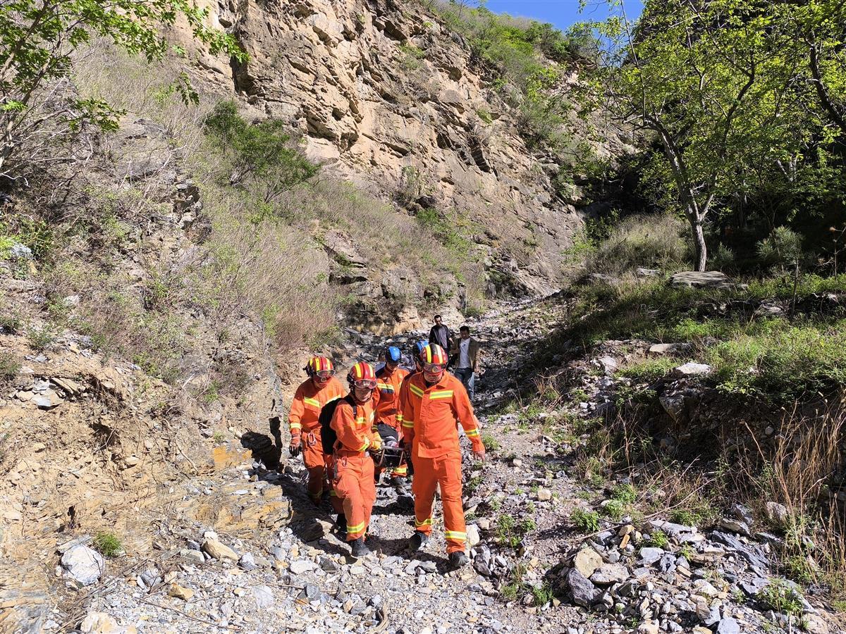3、伤者被消防和医护人员送下山.jpg