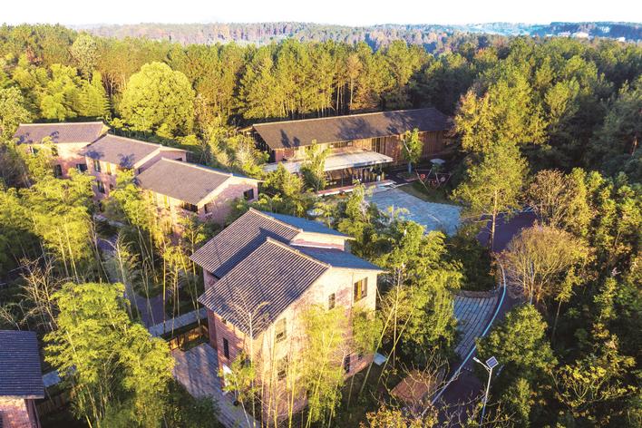 武汉江夏湖泗打造"四街四镇",重振宋瓷古镇风华 | 极目新闻