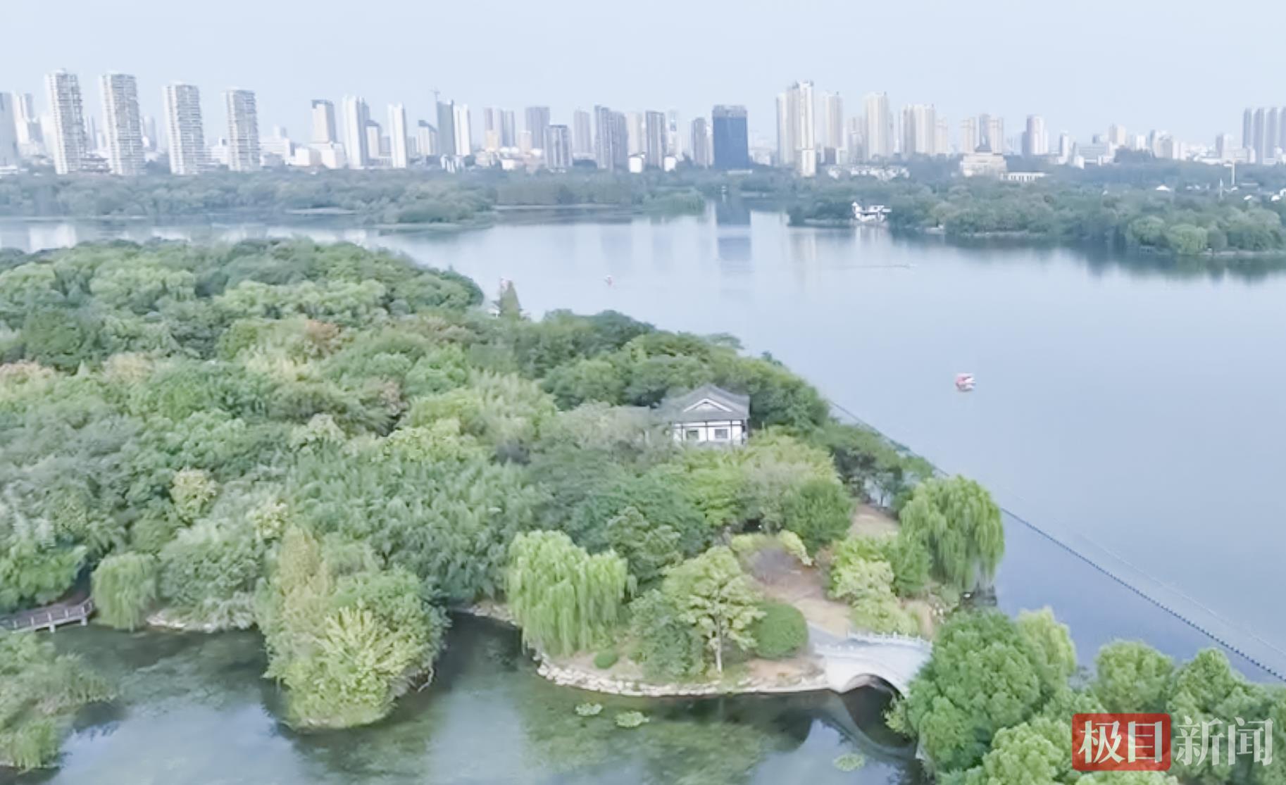 截屏2025-07-21 下午4.24.12.png