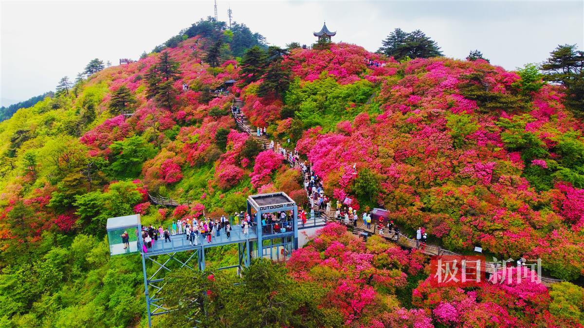 微信图片_20250418223416.jpg 微信图片_20250418223416.jpg