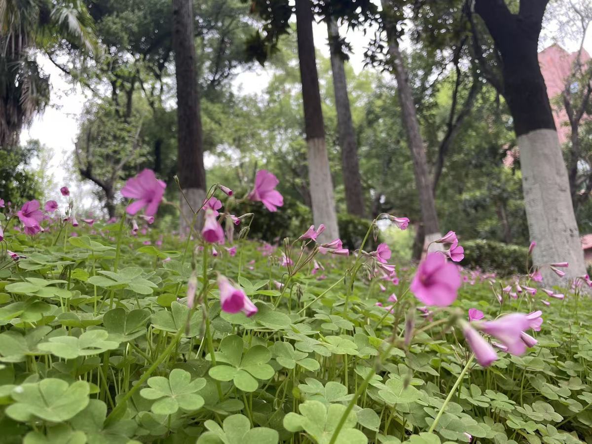 微信图片_20260408123537_472_16.jpg 微信图片_20260408123537_472_16.jpg