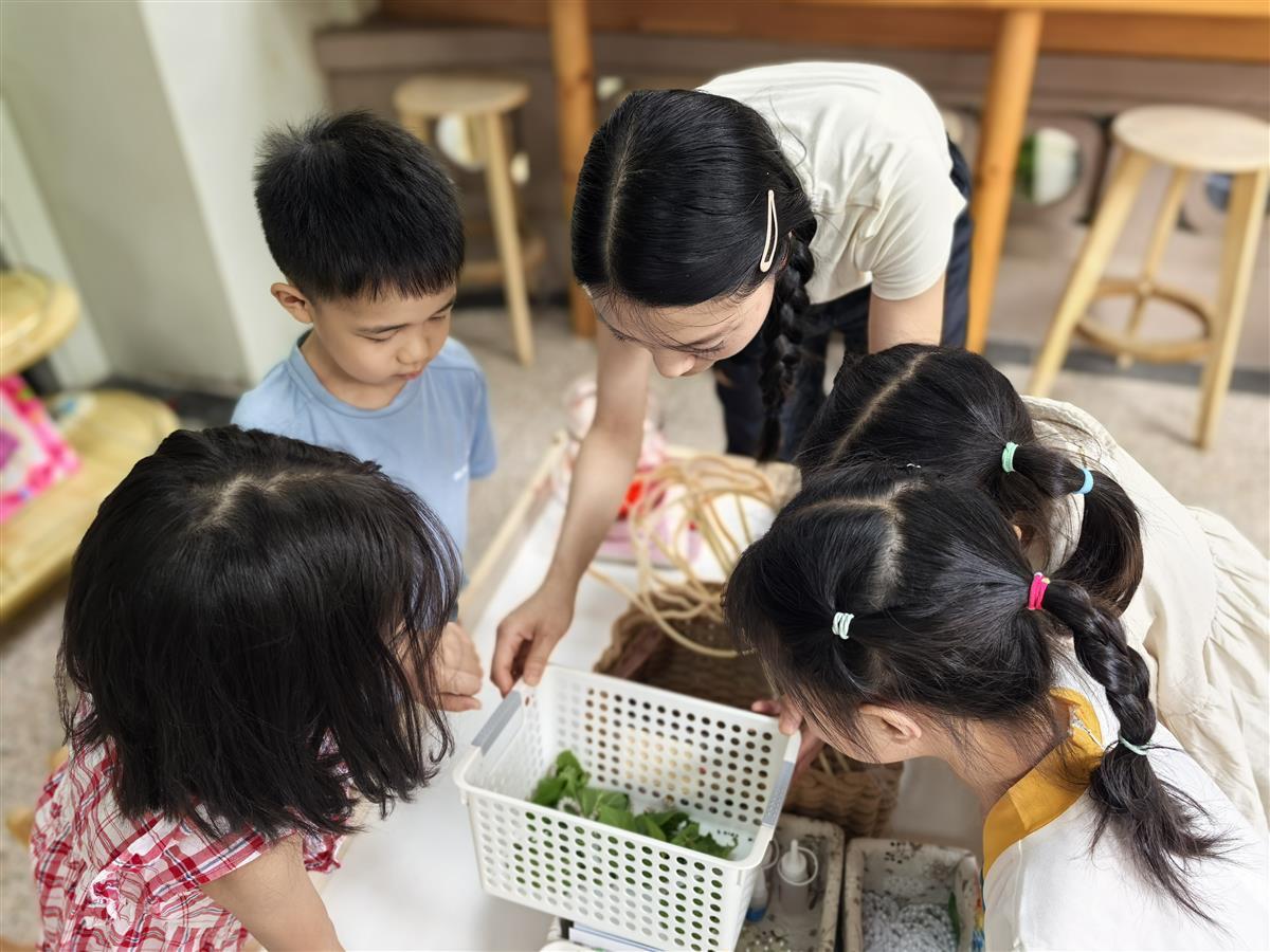 微信图片_20250507134533.jpg 微信图片_20250507134533.jpg