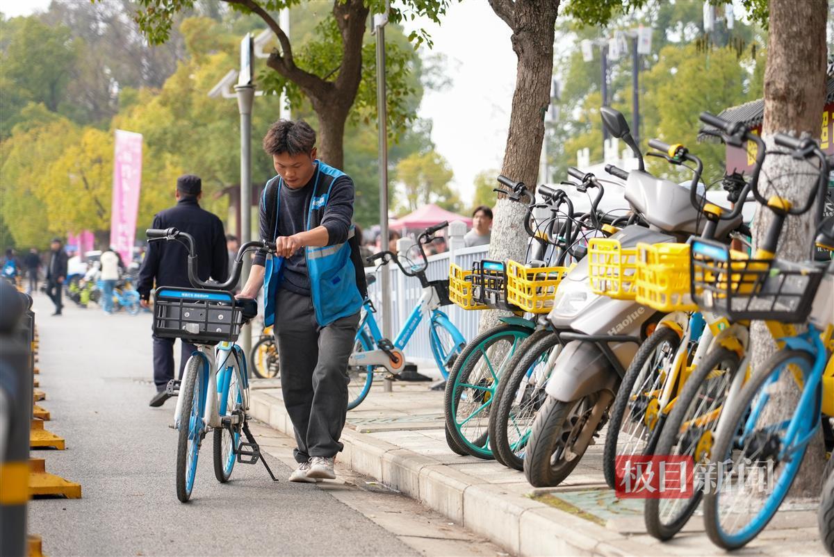 共享单车运维1.jpg