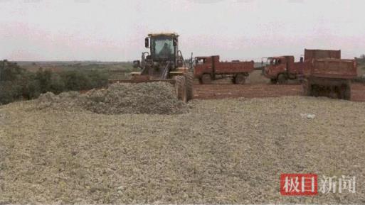 微信图片_2025-08-29_130852_995.png 微信图片_2025-08-29_130852_995.png