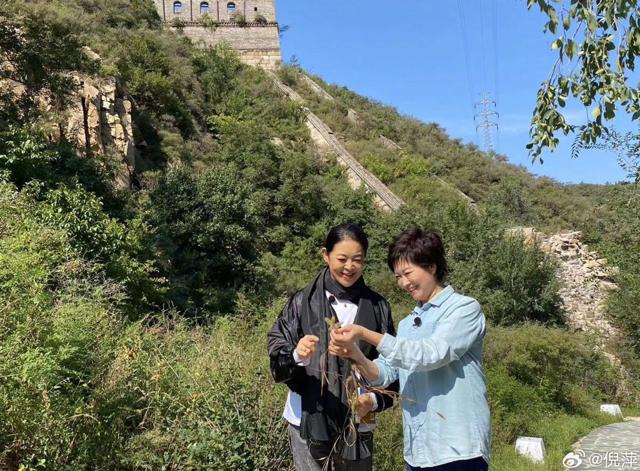 敬一丹告别仪式今日举行，倪萍相隔三千公里无法到场相送，凌晨5时发布3000余字长信，细数长达35年的情谊，两人最后一次相见是2024年中秋节前