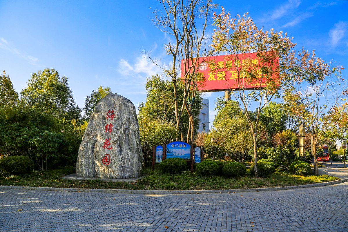 提升城市品质：潜江海绵花园绘就生态宜居新画卷.jpg