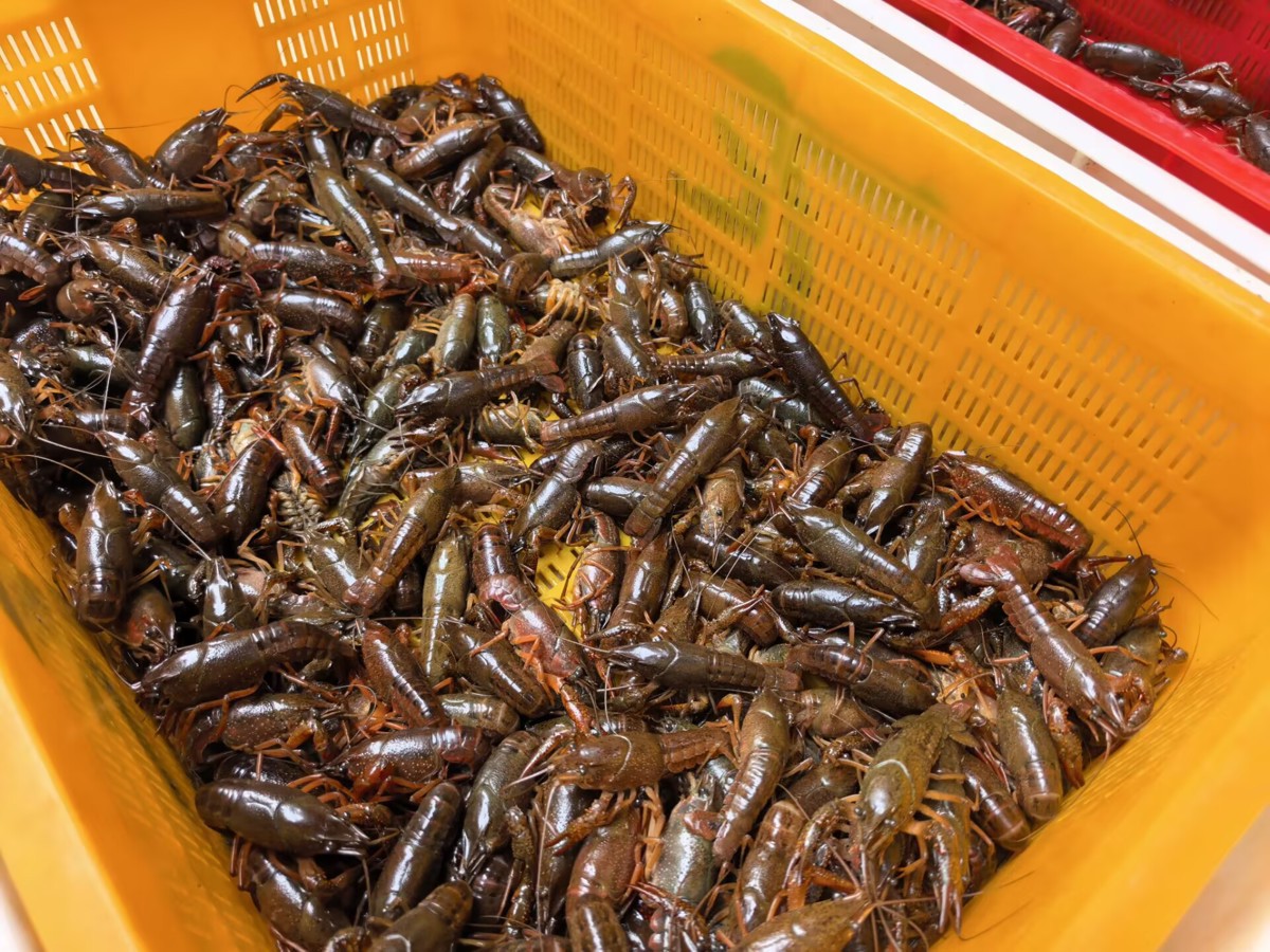 2A32F39F59C1CF3DA04777106153879A.jpg 2A32F39F59C1CF3DA04777106153879A.jpg