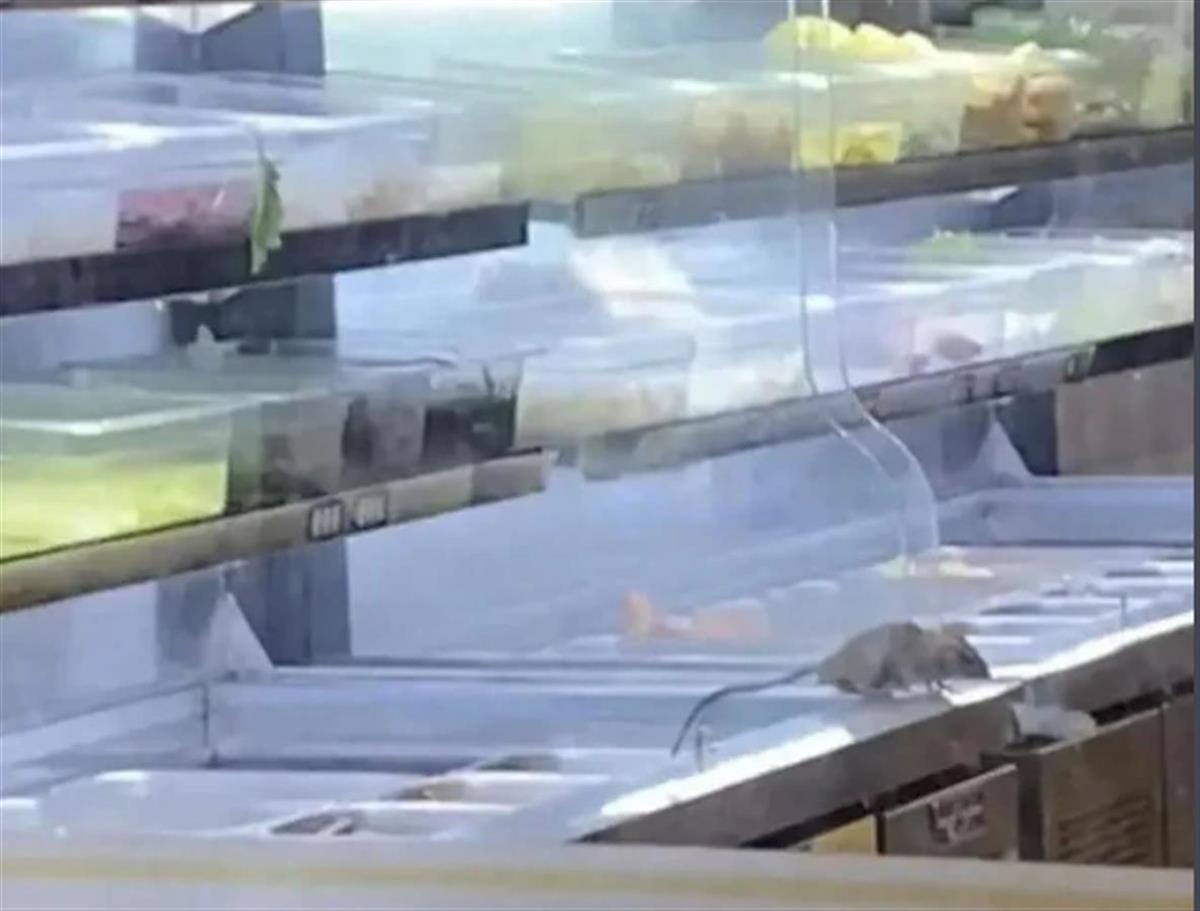 1742638683390.png 1742638683390.png