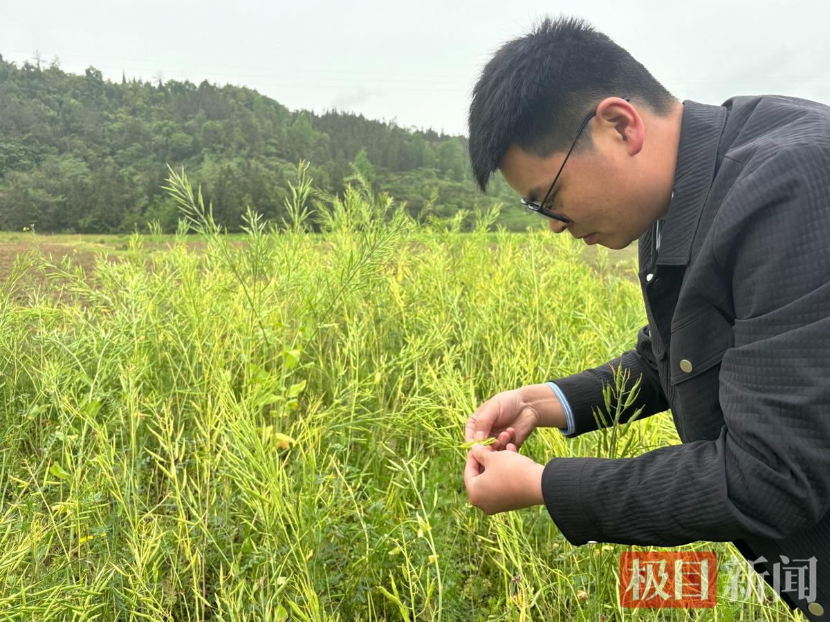 微信图片_20260510194232_1486_538.jpg