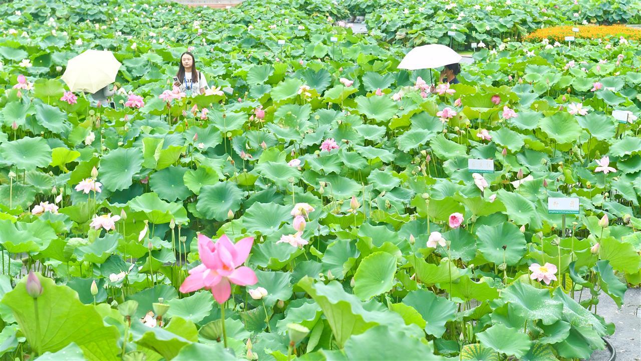 747ea98f92e8ae9fd3c2fd608aa9fdd.jpg 747ea98f92e8ae9fd3c2fd608aa9fdd.jpg