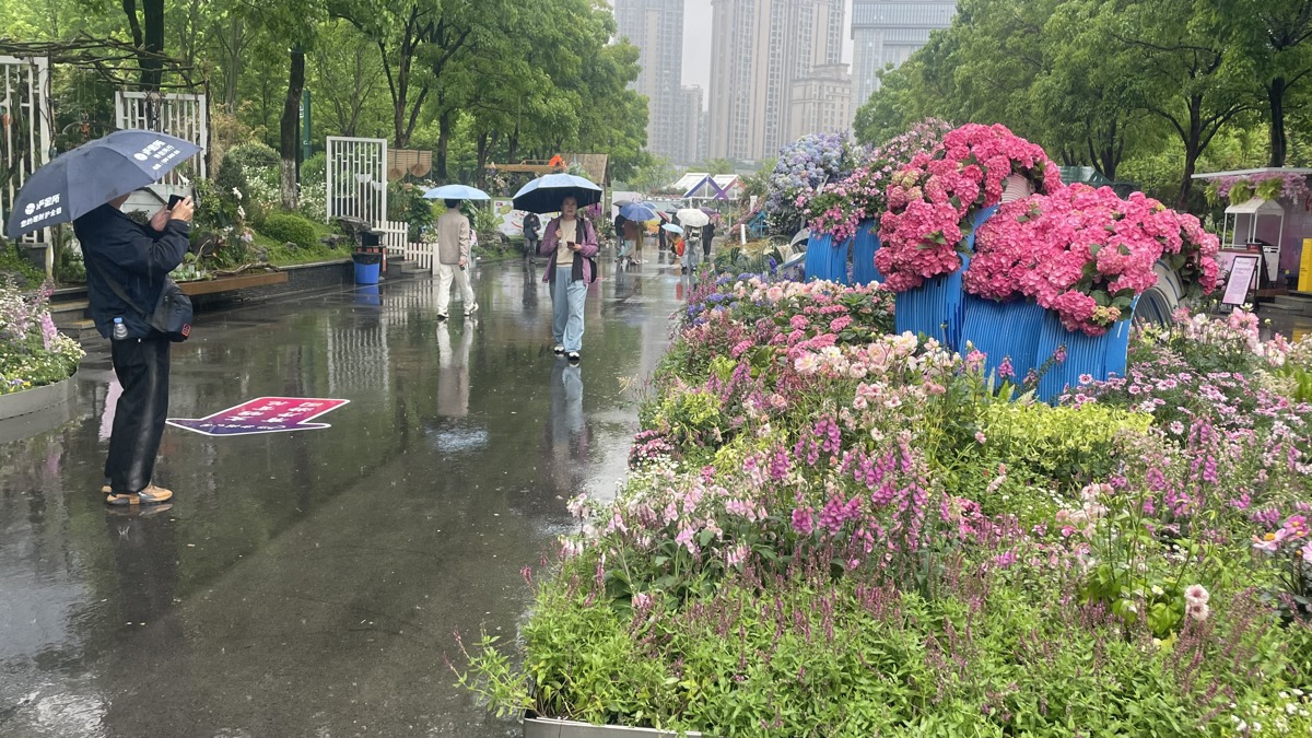 下雨也挡不住游人赏花.jpg