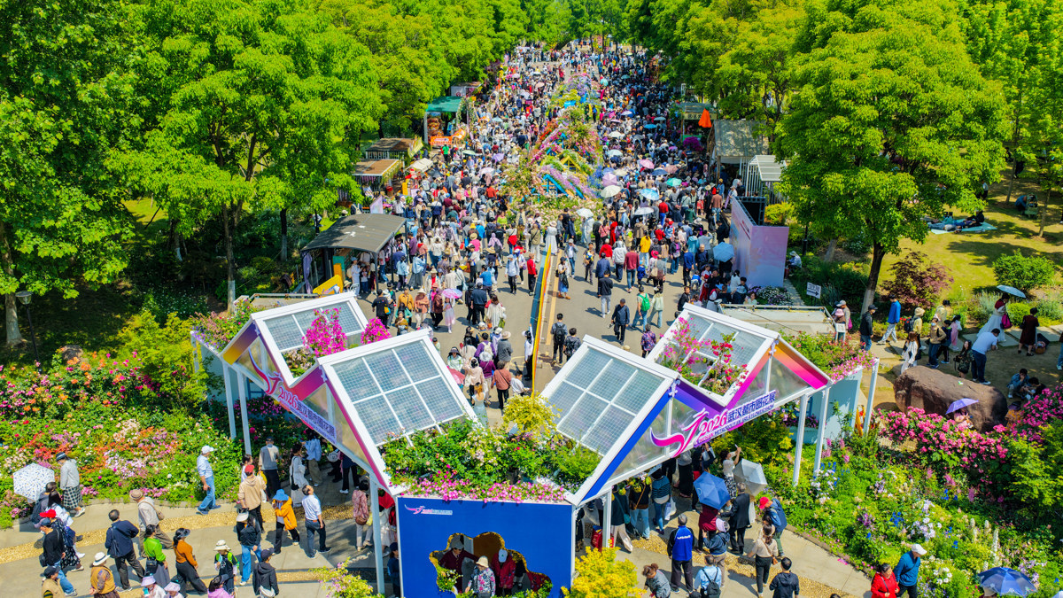 武汉都市圈花展，人海花海1.jpg