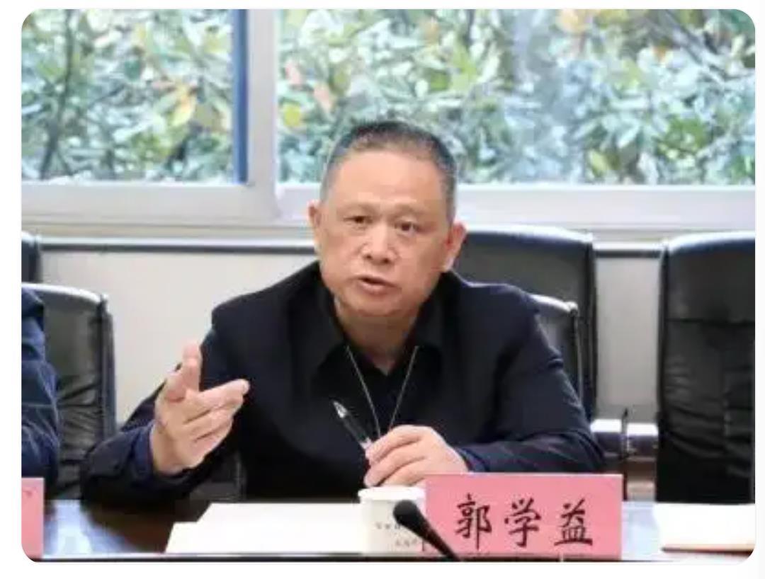 中南大学副校长郭学益上任期间被查！打虎行动持续深入