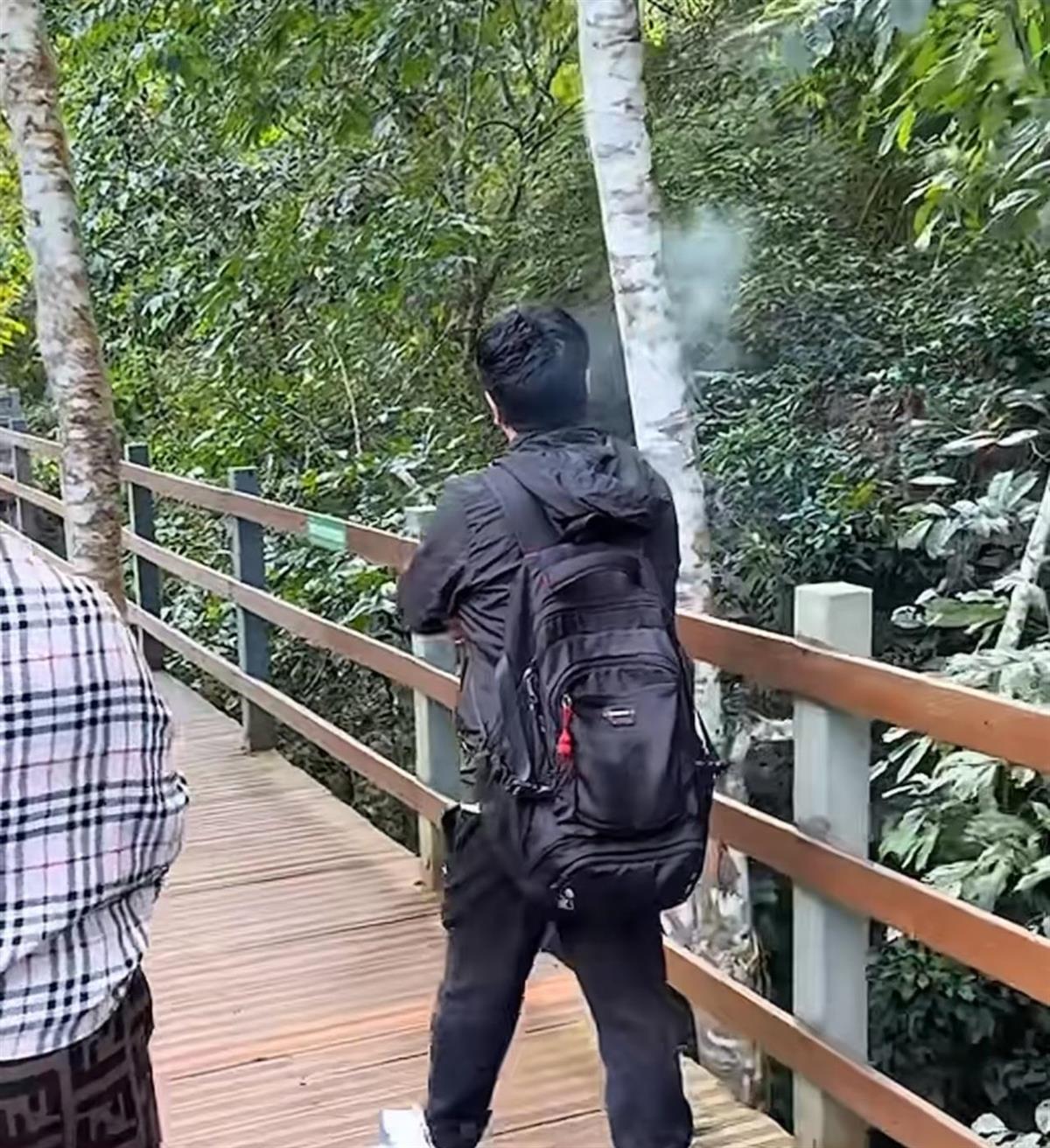 懒猴坠落事件,游客拍照摇树引发意外,景区回应状况正常并展开处理