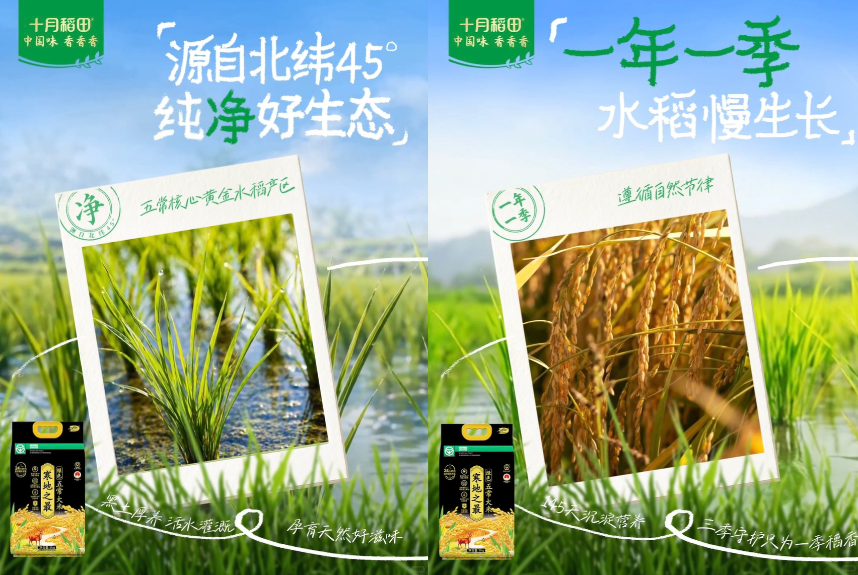 微信图片_20260515095151.jpg 微信图片_20260515095151.jpg