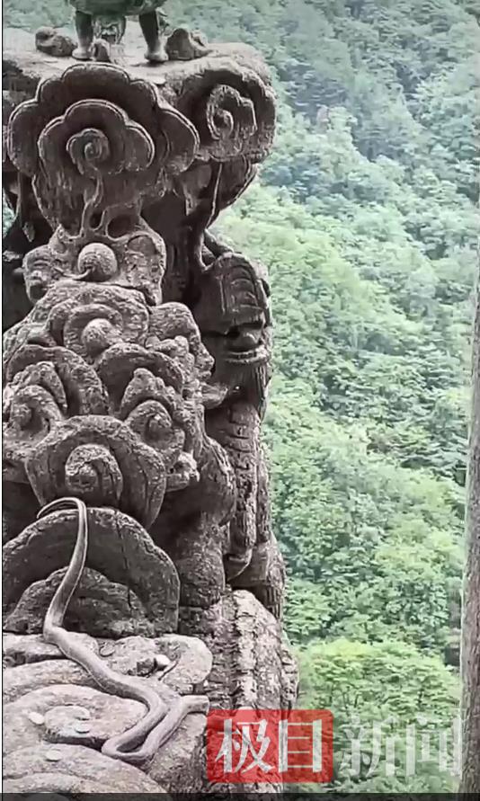 龙头香3.png 龙头香3.png