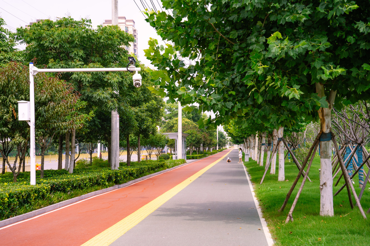 新城大道绿道.jpg