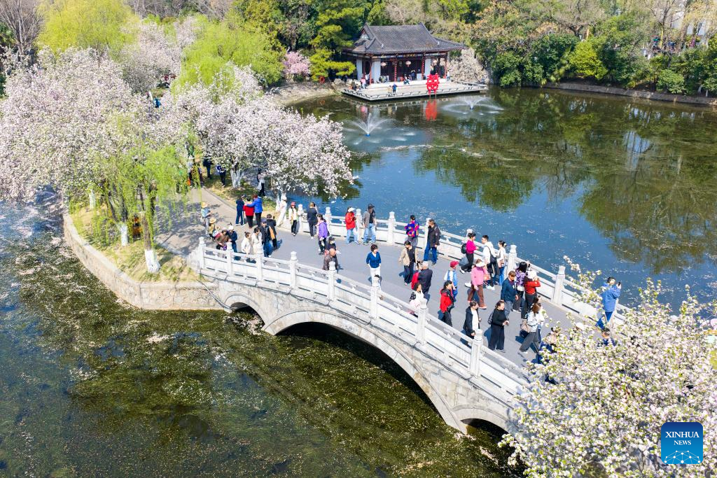 Spring scenery across China | 极目新闻