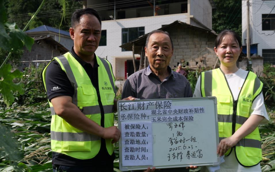 图片1.png 图片1.png