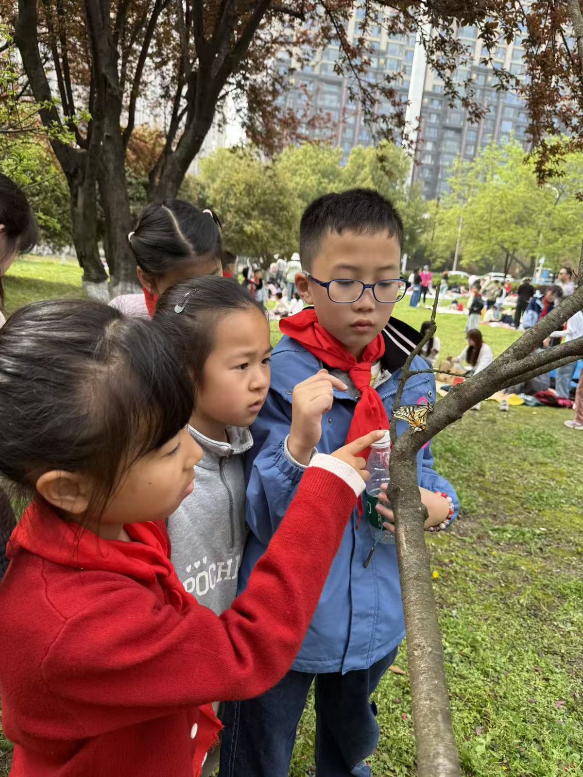 b97fc9935705f1520dfc3753b7606906.jpg b97fc9935705f1520dfc3753b7606906.jpg