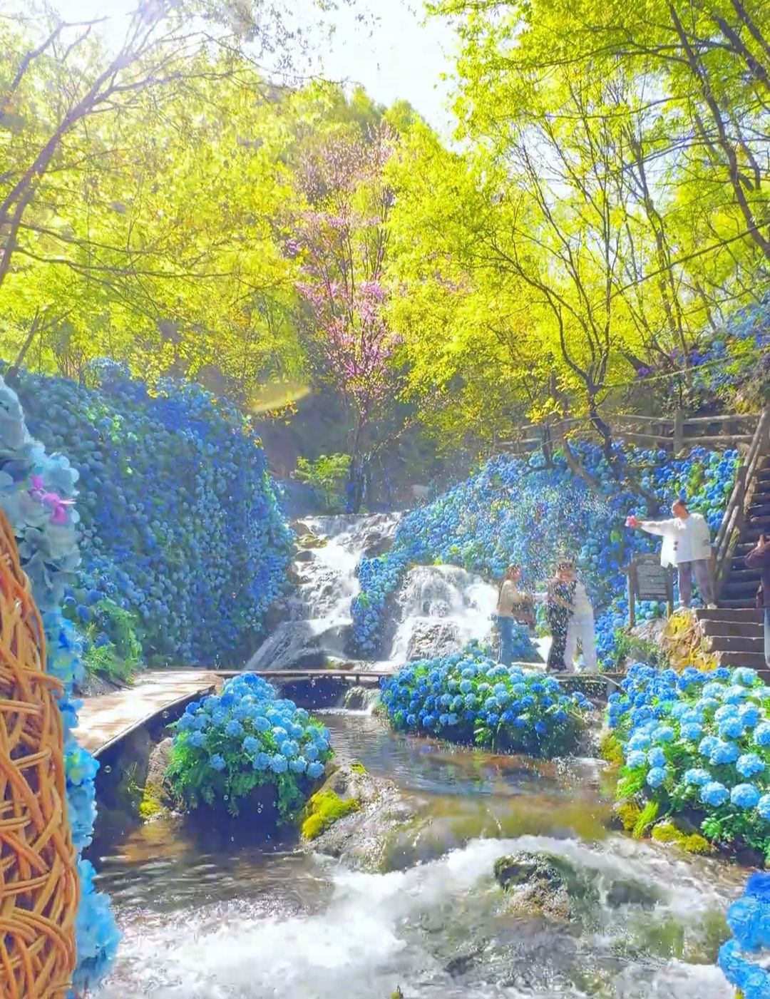 qq_pic_merged_1777698273153.jpg