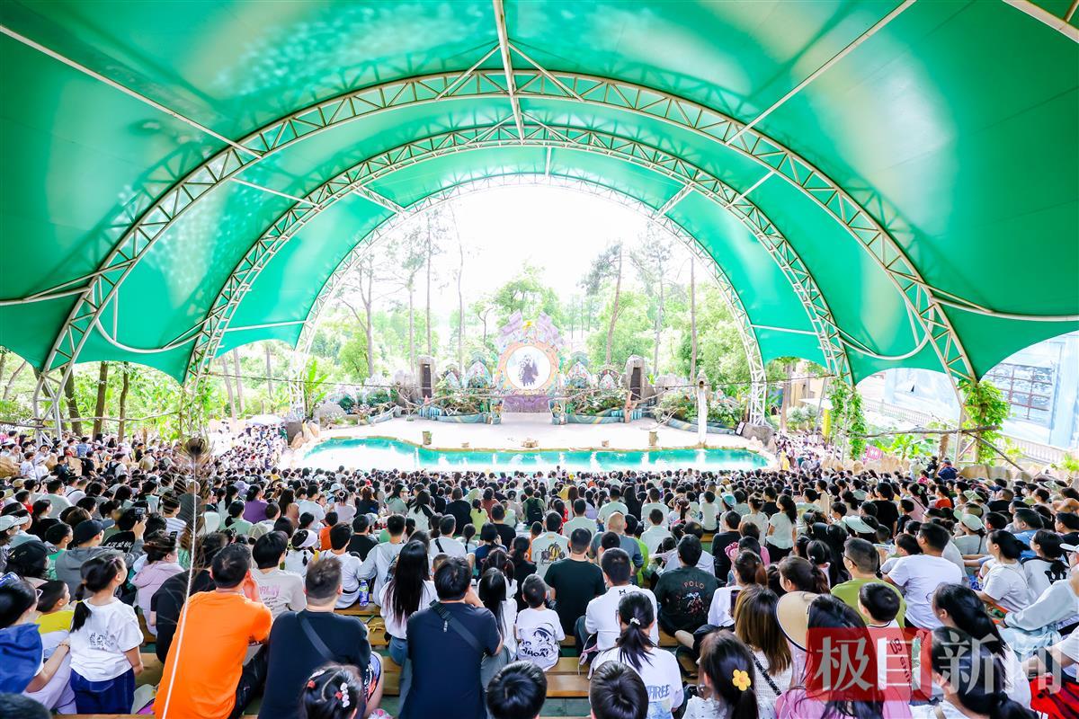 武汉野生动物王国首届神奇动物嘉年华吸引众多游客.jpg