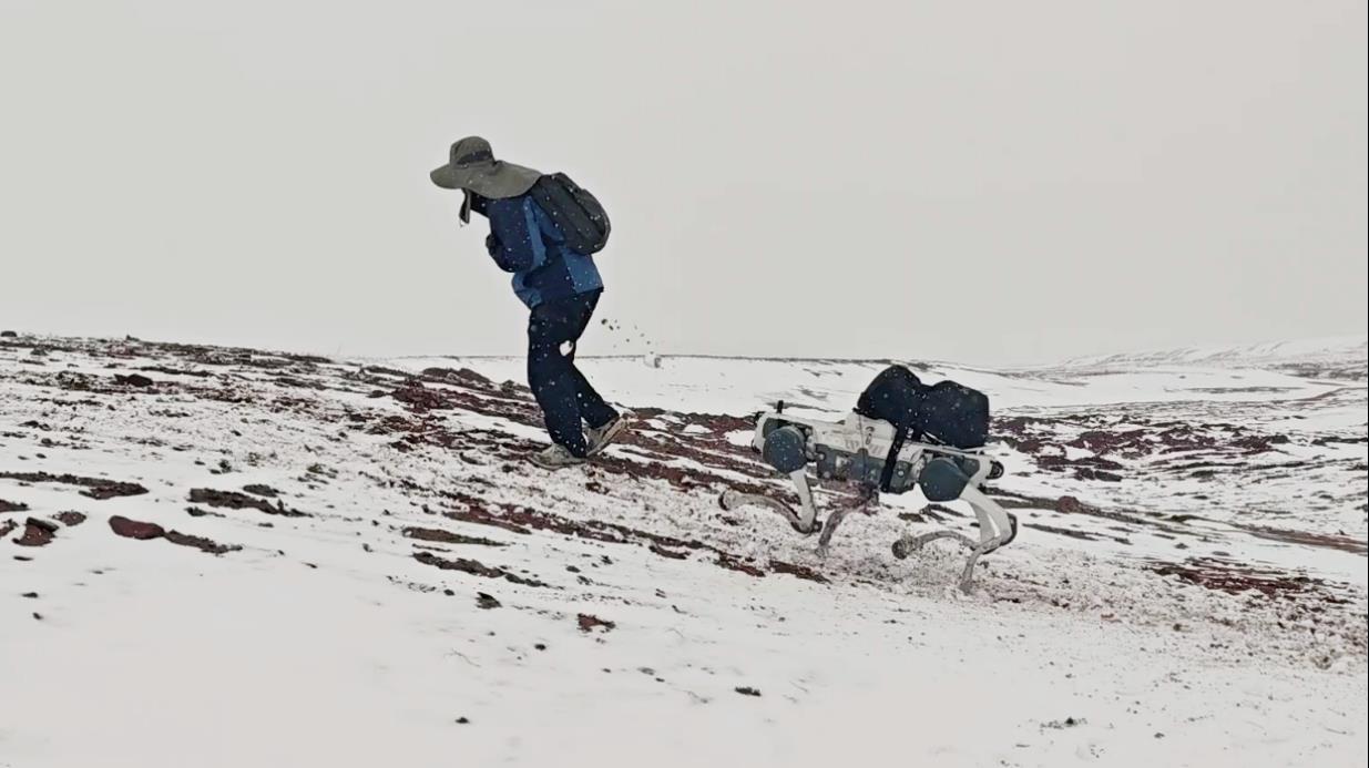 图片6.png 图片6.png