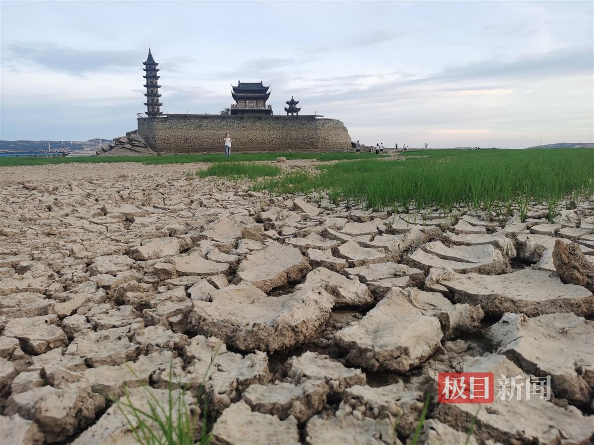 罕见旱灾下的鄱阳湖：航运“黄金期”提早结束，种粮户早稻减产晚稻面临绝收 | 极目新闻
