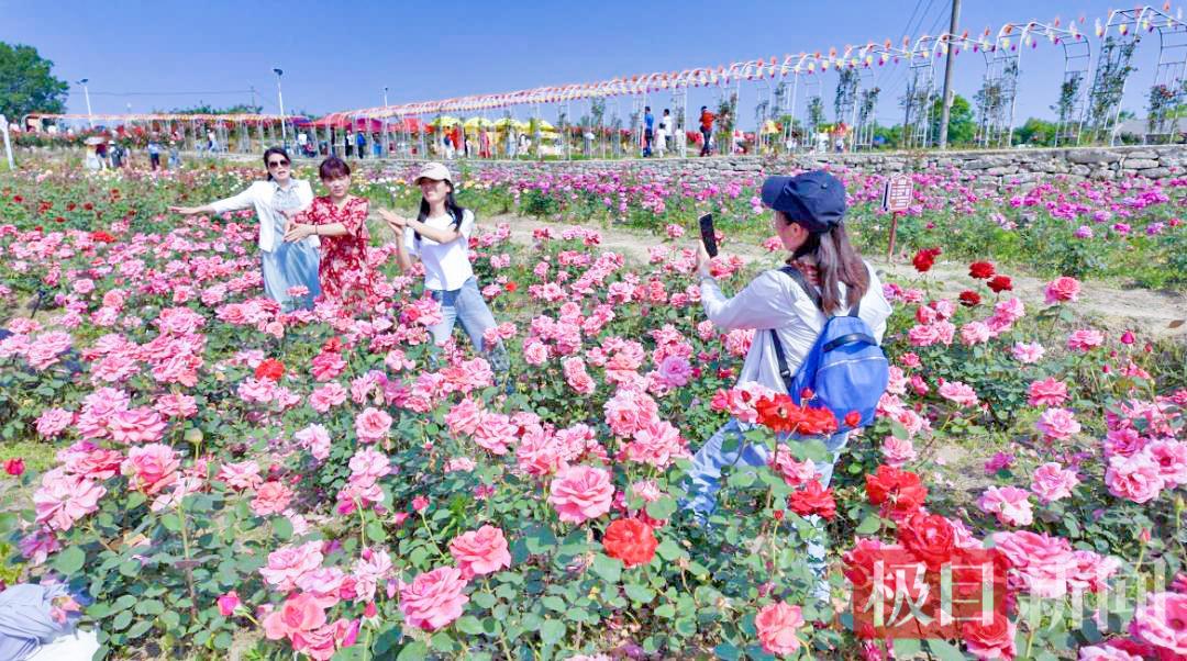 图片7.jpg