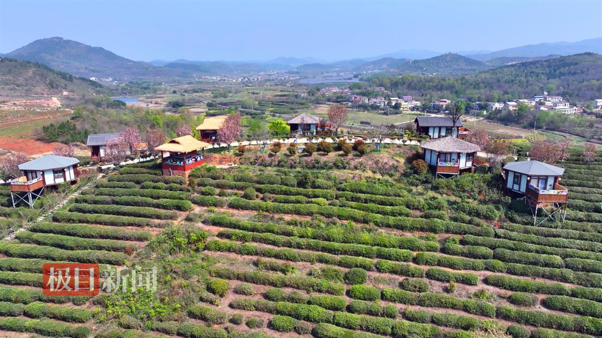 图片4.png 图片4.png